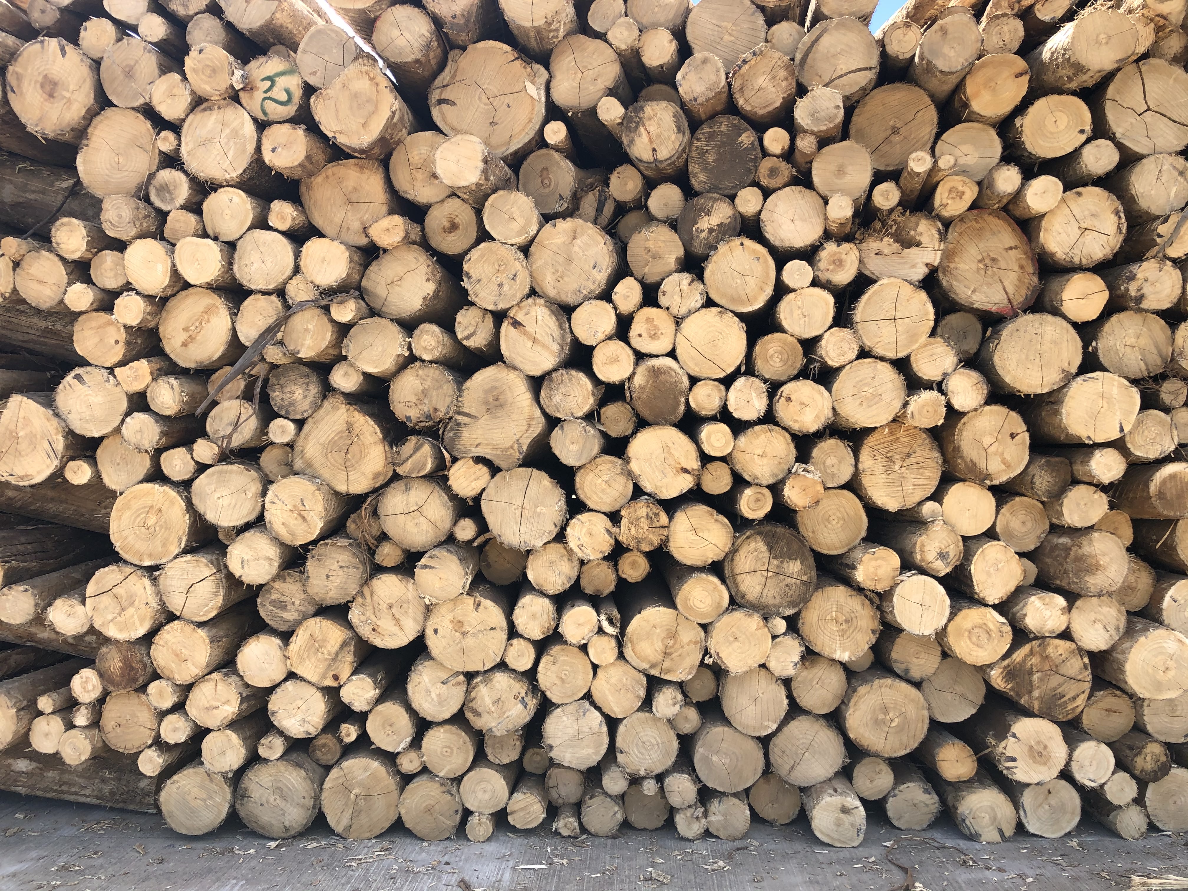 stacked logs